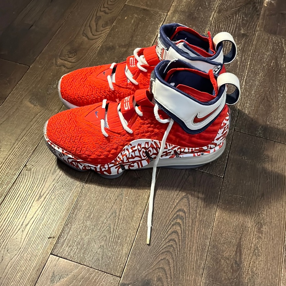 Lebron shoes